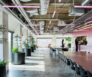 Hassell Studio 55 in Melbourne, a regenerative workplace featuring exposed services, reused materials and flexible workspaces